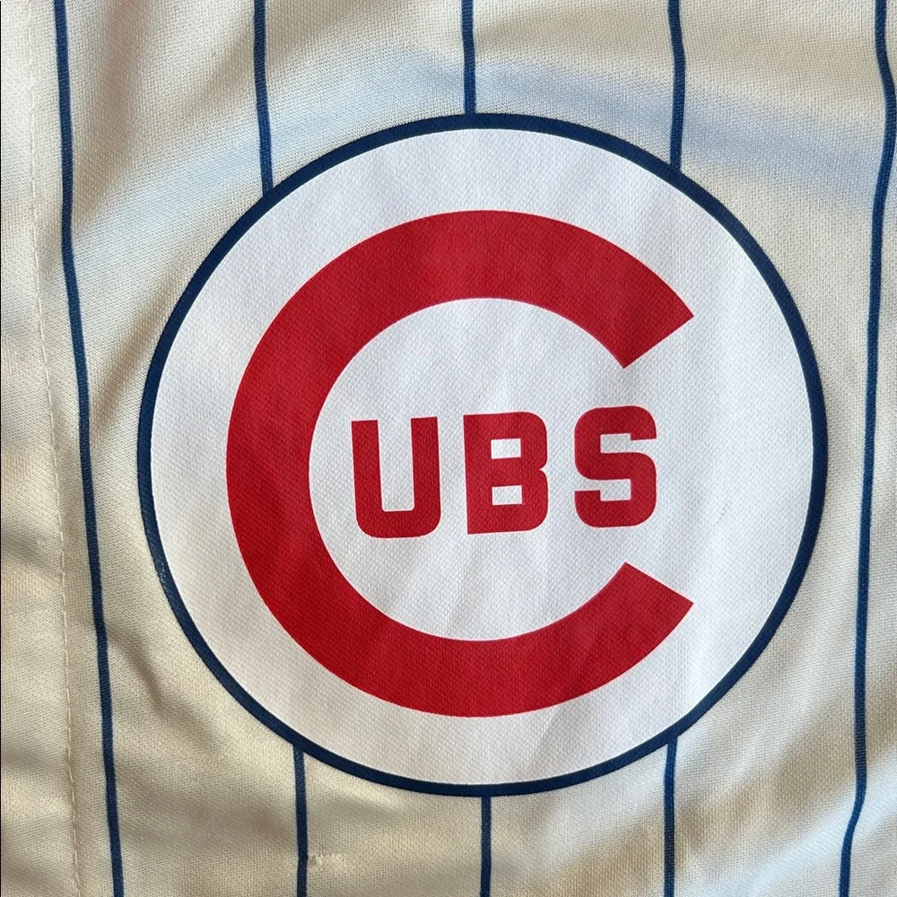 Vintage Chicago Cubs Pinstripe Baseball Jersey Size Large MLB - Picture 3 of 6